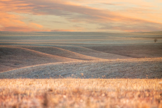 Subtle Beauty - Sunset in the Flint Hills