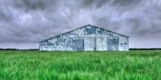 Barn Storming