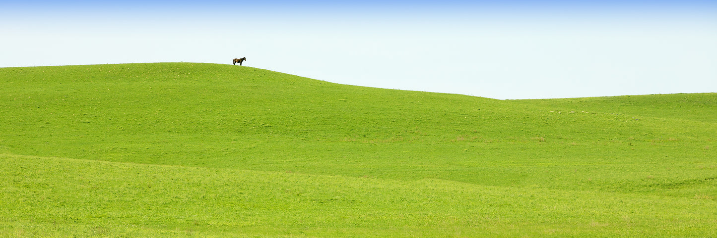 Flint Hills Sentry