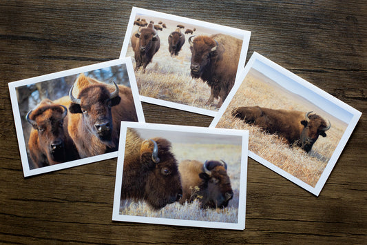 Buffalo