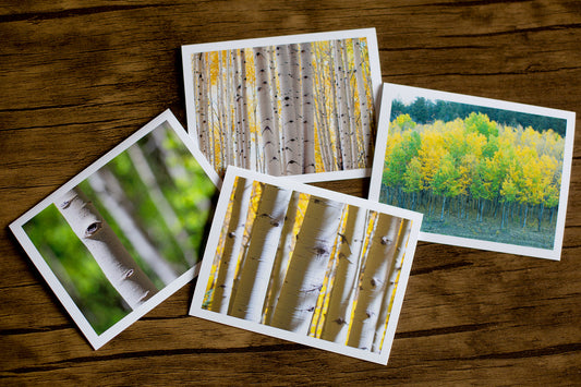 Colorado Aspens