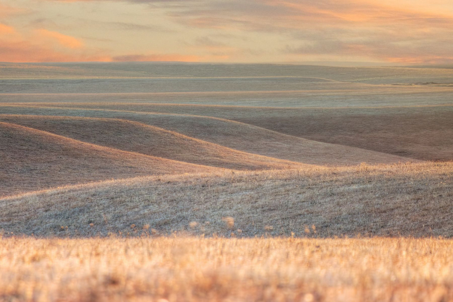 Images of Rural America