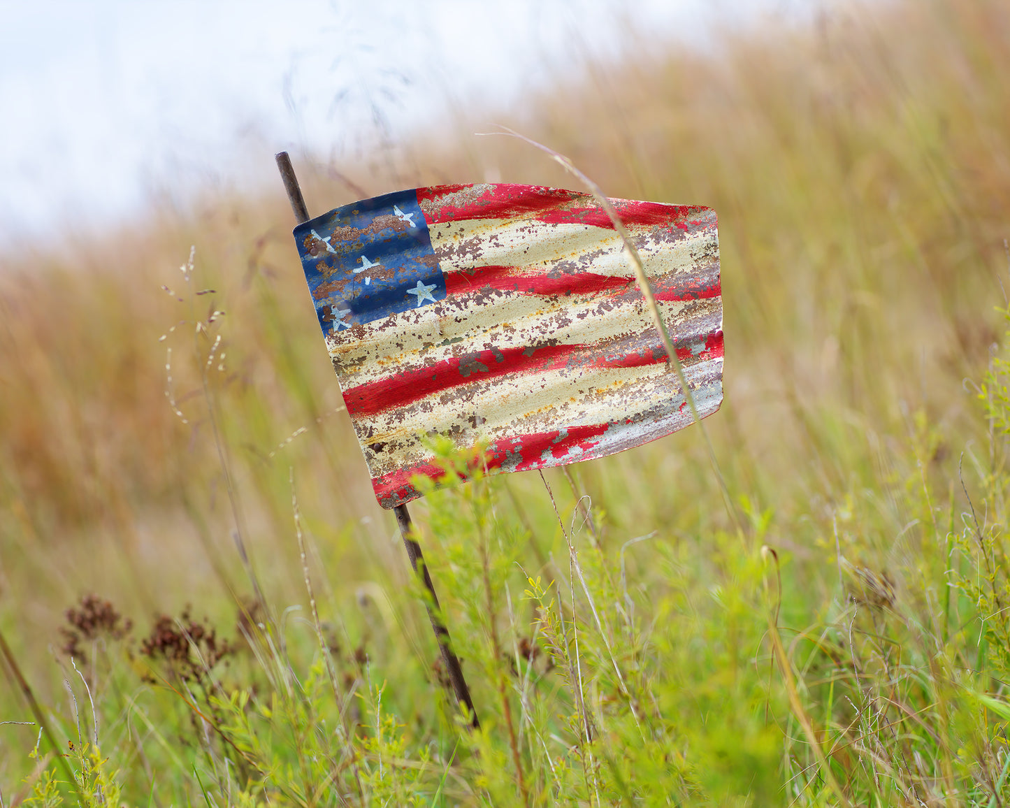 America