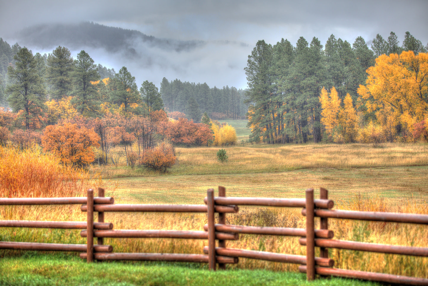 Autumn In The San Juans