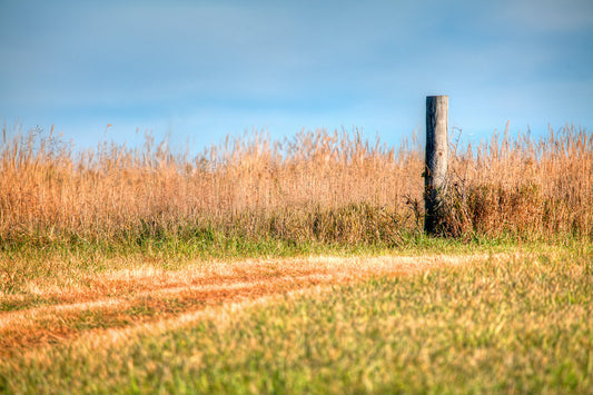 Hillside Fencepost