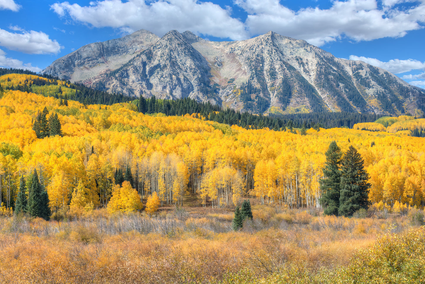 Kebler Pass