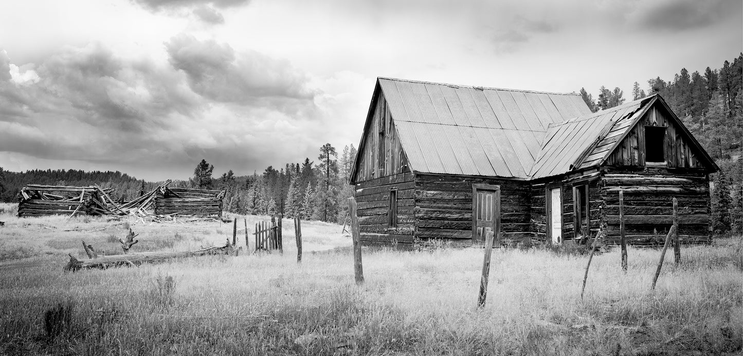 Murray Homestead Black and White