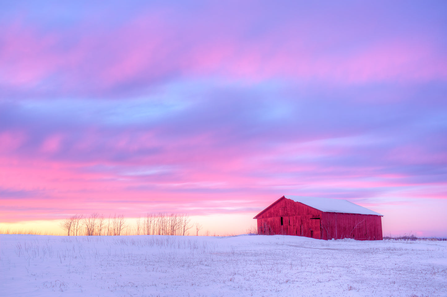 Red Barn in Winter