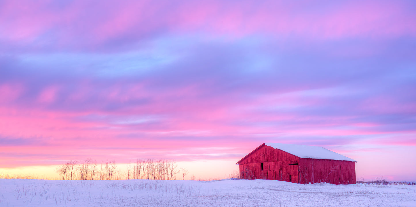 Red Barn in Winter - Wide Version