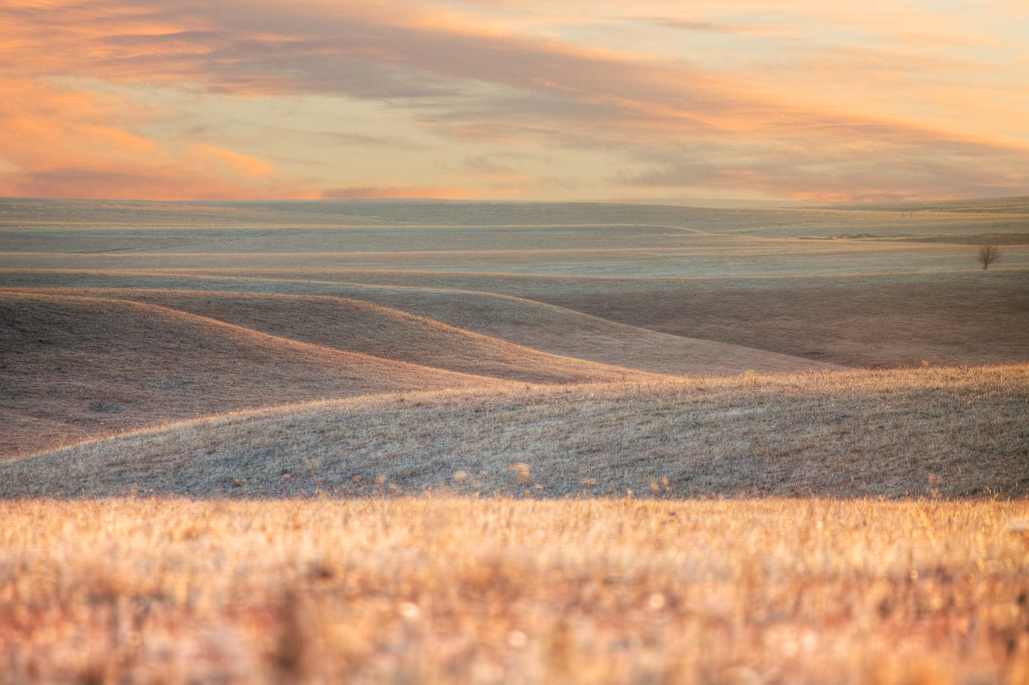 Subtle Beauty - Sunset in the Flint Hills