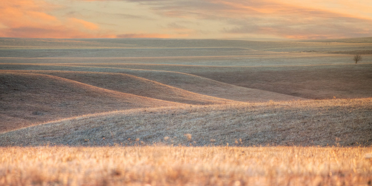 Subtle Beauty - Wide
