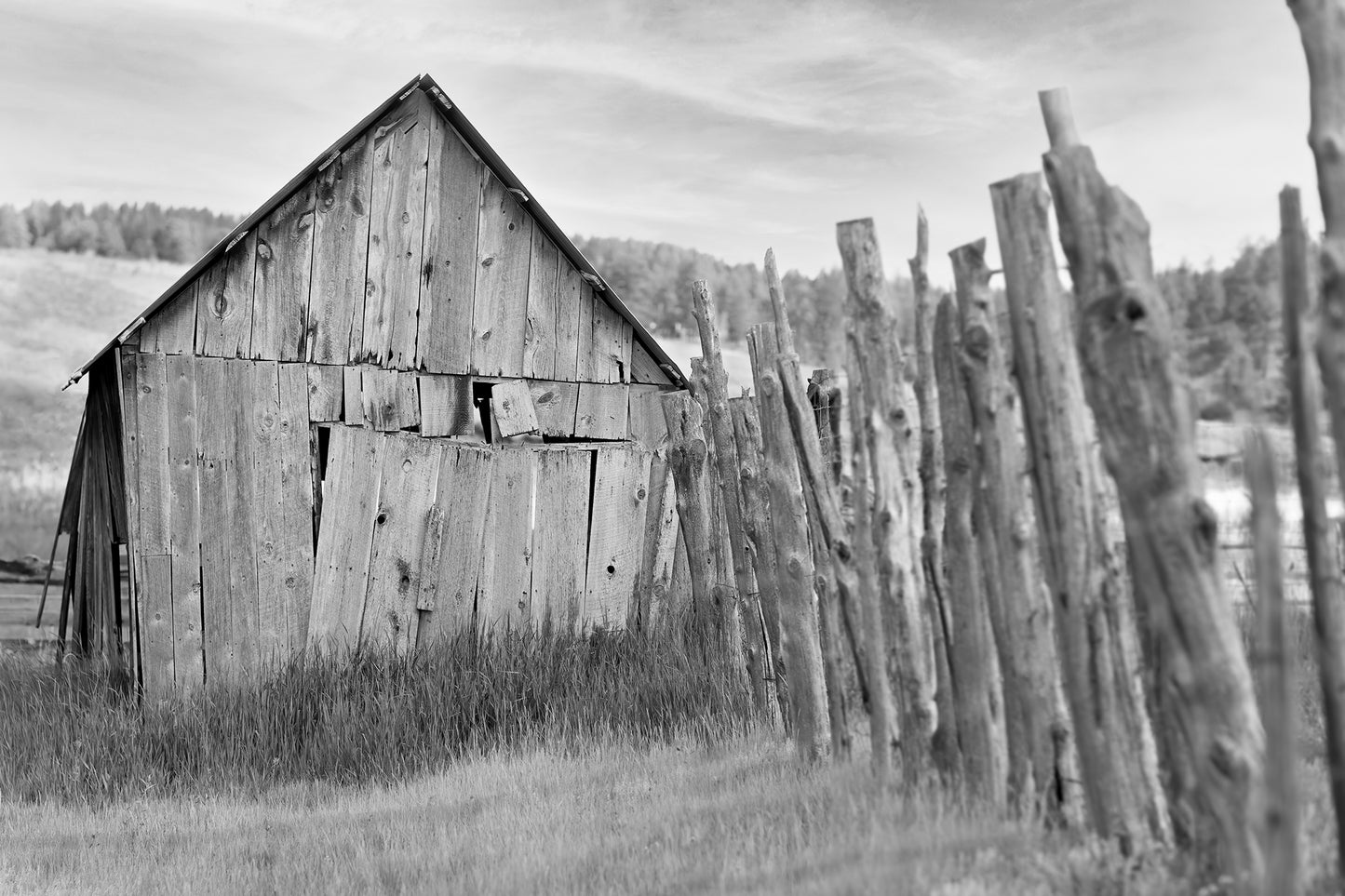 The Crooked Shed - B&W Version