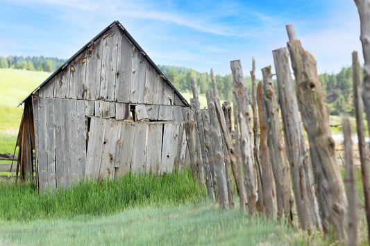 The Crooked Shed