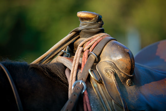 A Cowboy's Saddle