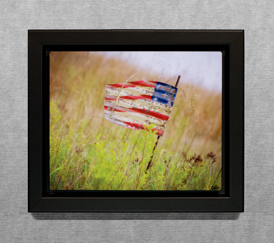 America - 8x10 Metal Print in Wood Float Frame