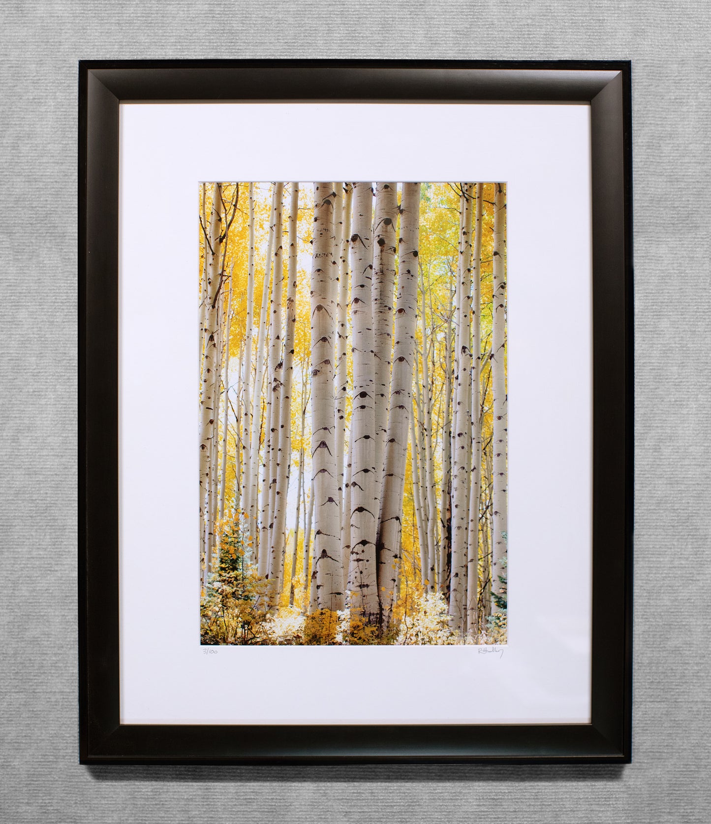 Aspen Elegance - 12x18 matted Lustre print in a custom built 18x24 black wood frame.