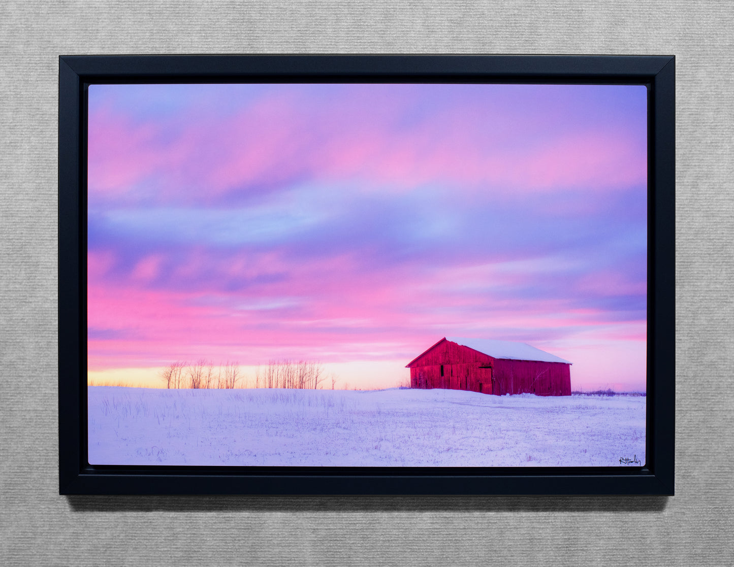 Red Barn In Winter - 16x24 Metal Print in Wood Float Frame