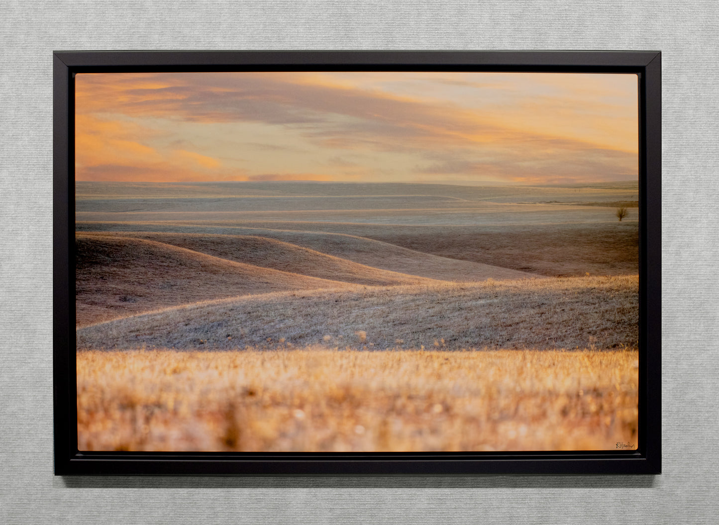 Subtle Beauty - 20x30 Metal Print in Wood Float Frame