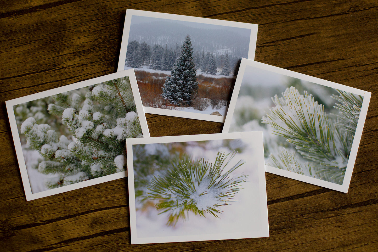 Winter Pines