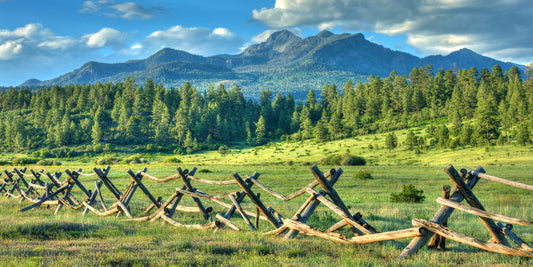 Pagosa Peak Fence Line_Sunset